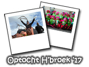 Optocht Hoensbroek 2017